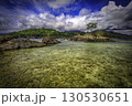 Small Island with Lone Tree 130530651