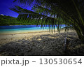 Beach with Palm and Turquoise Water 130530654