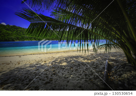 Beach with Palm and Turquoise Water 130530654