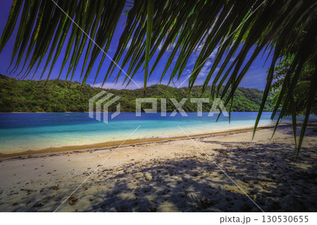Beach with Palms and Turquoise Sea Beach with Palms and Turquoise Sea 130530655