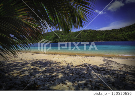 View of Beach with Palm and Blue Sea 130530656