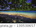 Beach with Palms and Turquoise Ocean 130530657