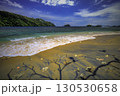 Coast with Palms and Blue Ocean 130530658