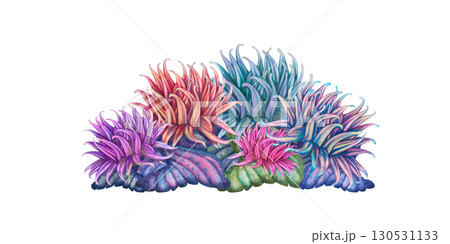 Rainbow big tropical parrot fish among multicolored mesh fire corals. Underwater sea view watercolor template for marine design, cards, posters, stickers, scrapbooking, textile, diving, snorkeling 130531133