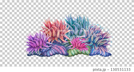 Rainbow big tropical parrot fish among multicolored mesh fire corals. Underwater sea view watercolor template for marine design, cards, posters, stickers, scrapbooking, textile, diving, snorkeling 130531133