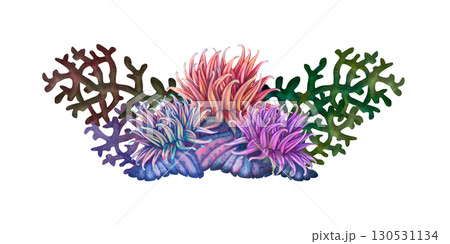 Tropical rainbow anemones and multicolored corals. Underwater sea view watercolor template for marine design, cards, posters, stickers, scrapbooking, textile, diving, snorkeling 130531134