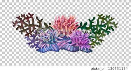 Tropical rainbow anemones and multicolored corals. Underwater sea view watercolor template for marine design, cards, posters, stickers, scrapbooking, textile, diving, snorkeling 130531134