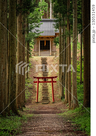 山形県遊佐町 小野曽神社の歴史ある社殿と自然風景 130531459