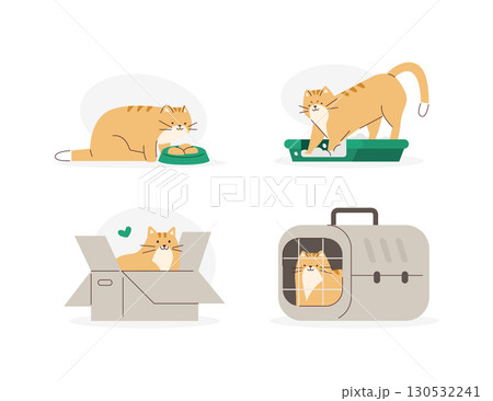 Cute domestic cat sitting in a carrier bag, eating food, using litter box. Adorable feline animal daily activity 130532241