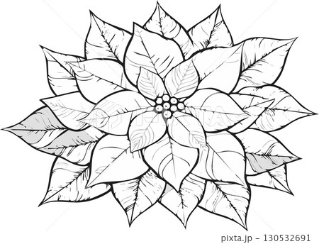 クリスマスの花ポインセチアのイラスト 130532691