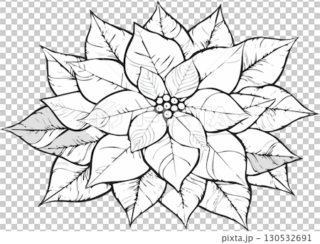 クリスマスの花ポインセチアのイラスト 130532691