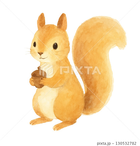 どんぐりを持つリスのイラスト素材（秋・かわいい動物） 130532782