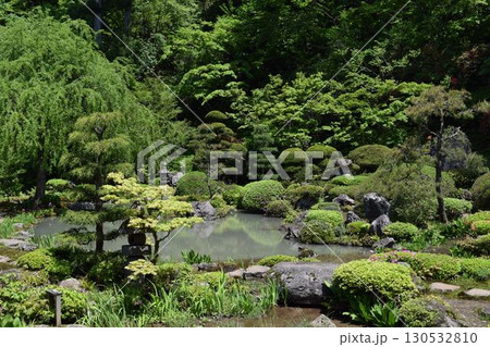 美しい日本庭園 130532810