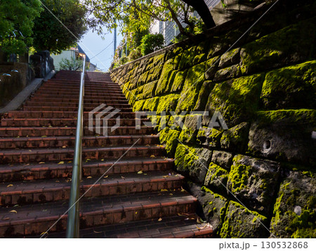 【大田区】早朝の公園の階段 130532868