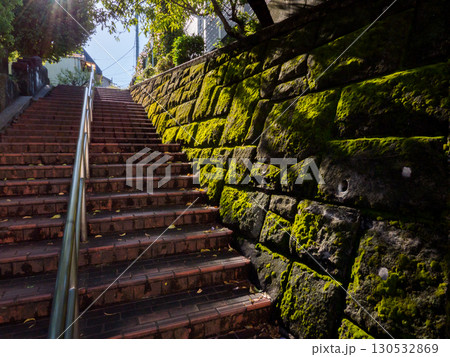 【大田区】早朝の公園の階段 130532869