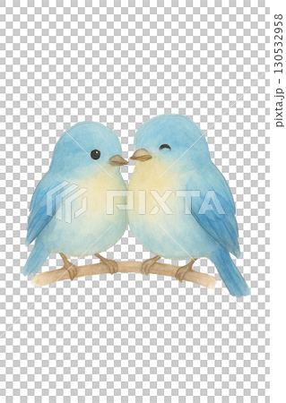 兩隻小藍鳥依偎在一起的插圖材料(友善可愛的小鳥) 兩隻小藍鳥依偎在一起的插圖材料(友善可愛的小鳥) 130532958