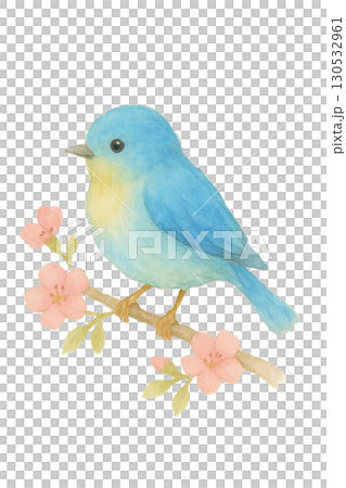一隻小藍鳥棲息在花枝上插圖素材（春天，大自然，可愛的小鳥） 130532961
