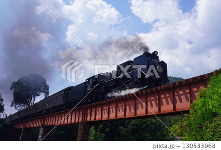 SLやまぐち号 D51 1379 SLやまぐち号 D51 1379 130533968