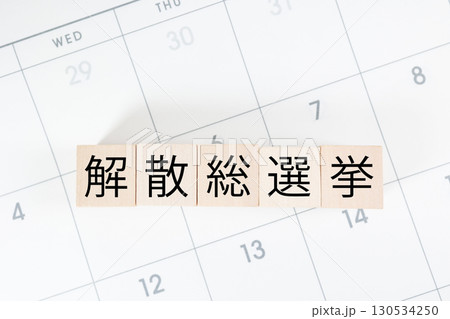 カレンダー上の木製ブロックに解散総選挙の文字 カレンダー上の木製ブロックに解散総選挙の文字 130534250