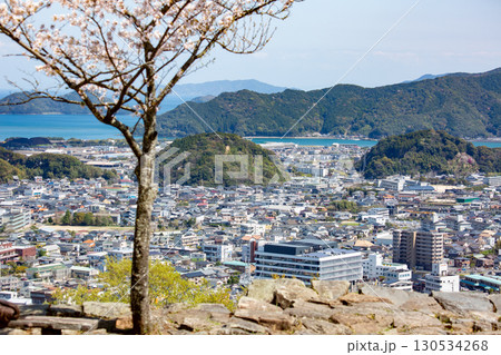 佐伯城山歴史公園から望む佐伯市街と豊後水道 佐伯城山歴史公園から望む佐伯市街と豊後水道 130534268