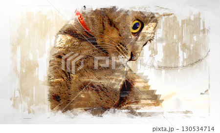 スケッチ風 猫 ネコ ねこ キジトラ グレー 雌 メス 雌ねこ 雌ネコ 元気 かわいい 癒し 130534714