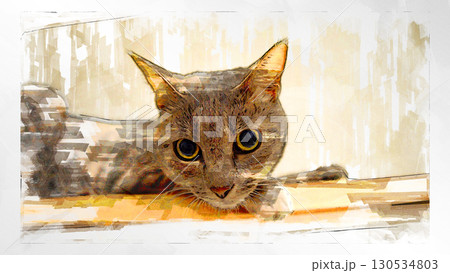 スケッチ風 猫 ネコ ねこ キジトラ グレー 雌 メス 雌ねこ 雌ネコ 元気 かわいい 癒し スケッチ風 猫 ネコ ねこ キジトラ グレー 雌 メス 雌ねこ 雌ネコ 元気 かわいい 癒し 130534803