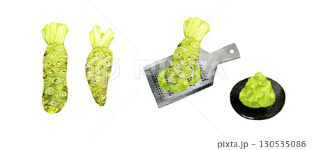 ワサビのイラストセット　野菜・薬味の手描き水彩イラスト素材 130535086