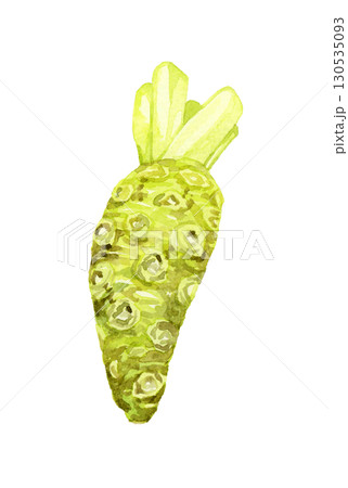 ワサビ（単品）　野菜・薬味の手描き水彩イラスト素材 130535093