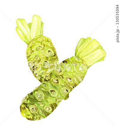 ワサビのセット　野菜・薬味の手描き水彩イラスト素材 130535094