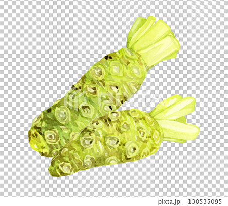 ワサビのセット　野菜・薬味の手描き水彩イラスト素材 130535095