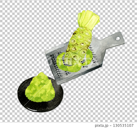 生ワサビのすりおろし　野菜・薬味の手描き水彩イラスト素材 130535107