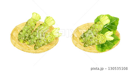竹ざるに乗った生ワサビのセット 野菜・薬味の手描き水彩イラスト素材 竹ざるに乗った生ワサビのセット 野菜・薬味の手描き水彩イラスト素材 130535108