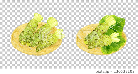 竹ざるに乗った生ワサビのセット 野菜・薬味の手描き水彩イラスト素材 竹ざるに乗った生ワサビのセット 野菜・薬味の手描き水彩イラスト素材 130535108
