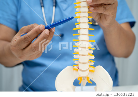 Doctor with lumbar vertebra bone skeleton and nerve model for treatment in the orthopedic department. 130535223