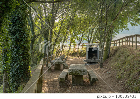 Quiet Picnic Area in the Woods Quiet Picnic Area in the Woods 130535433