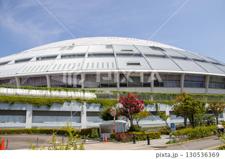 バンテリンドーム 130536369