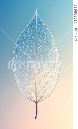 Detailed Veined Skeleton Leaf Against a Gradient Blue and Beige Background Detailed Veined Skeleton Leaf Against a Gradient Blue and Beige Background 130536636