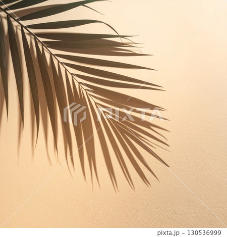 Palm Leaf Silhouette Casting Shadow on a Light Beige Textured Background 130536999