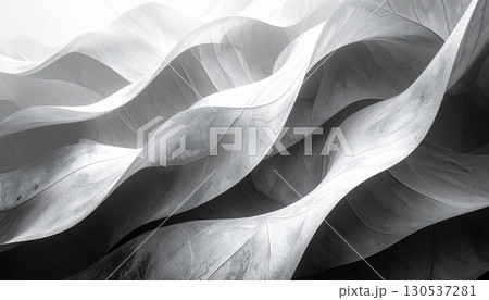 Monochrome Abstract Waves with Texture and Patterns in a Modern Style Grayscale 130537281