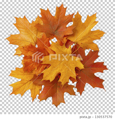 A vibrant collection of autumn leaves in shades of orange and yellow, showcasing beauty of fall foliage. leaves are arranged in natural, overlapping pattern A vibrant collection of autumn leaves in shades of orange and yellow, showcasing beauty of fall foliage. leaves are arranged in natural, overlapping pattern 130537570