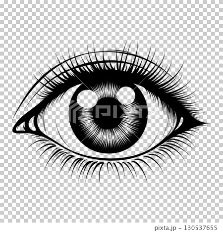 A detailed black and white illustration of human eye features intricate eyelashes and textured iris, creating striking and artistic visual. monochrome design emphasizes eye natural beauty 130537655