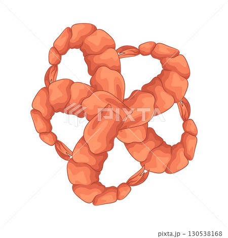 Illustration of shrimp 130538168