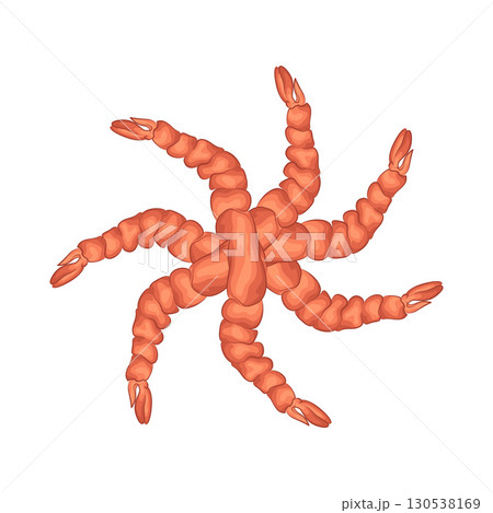 Illustration of shrimp Illustration of shrimp 130538169
