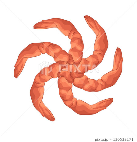 Illustration of shrimp Illustration of shrimp 130538171