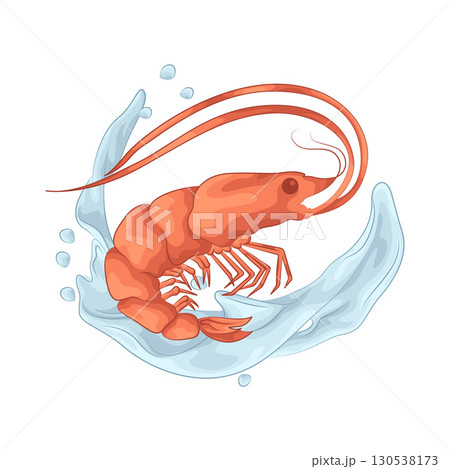 Illustration of shrimp Illustration of shrimp 130538173