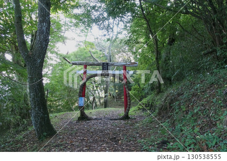足柄明神跡：茅野輪がつけられた鳥居【足柄城跡】神奈川県南足柄市矢倉沢 130538555