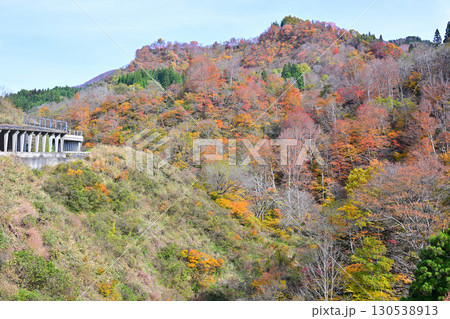 山の紅葉　秋風景　国道353号線からの眺め　新潟県十日町市　 130538913
