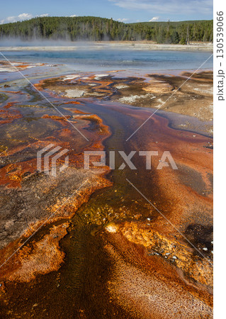 Rainbow Pool at Yellowstone National Park 130539066
