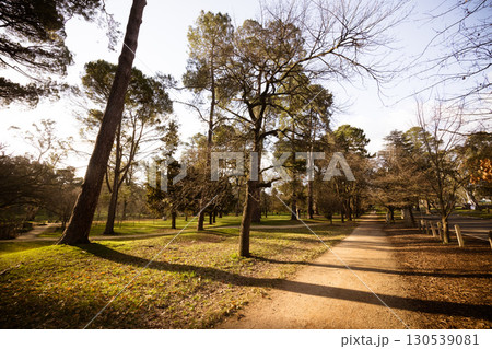 Castlemaine Botanical Gardens in Castlemaine Australia Castlemaine Botanical Gardens in Castlemaine Australia 130539081