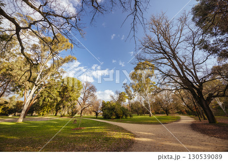 Castlemaine Botanical Gardens in Castlemaine Australia 130539089